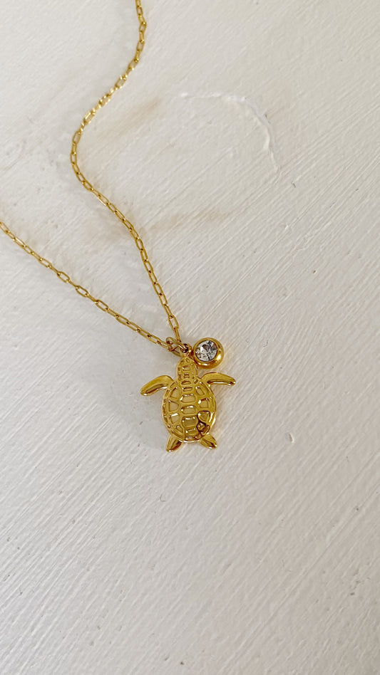 Cadena con tortuga y zirconia