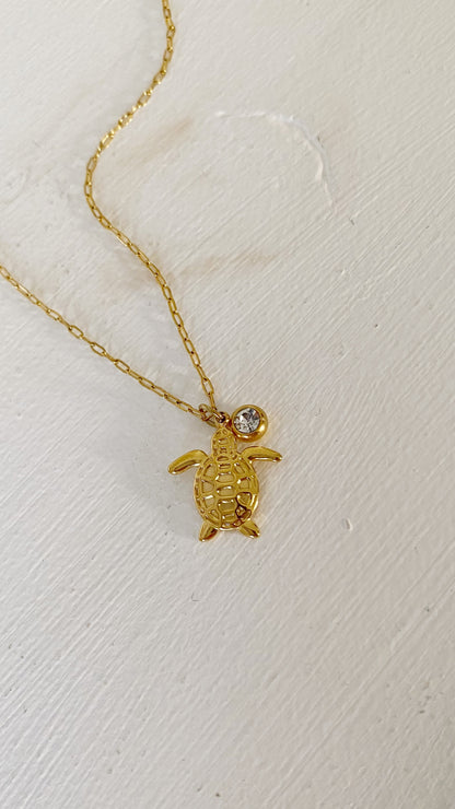 Cadena con tortuga y zirconia