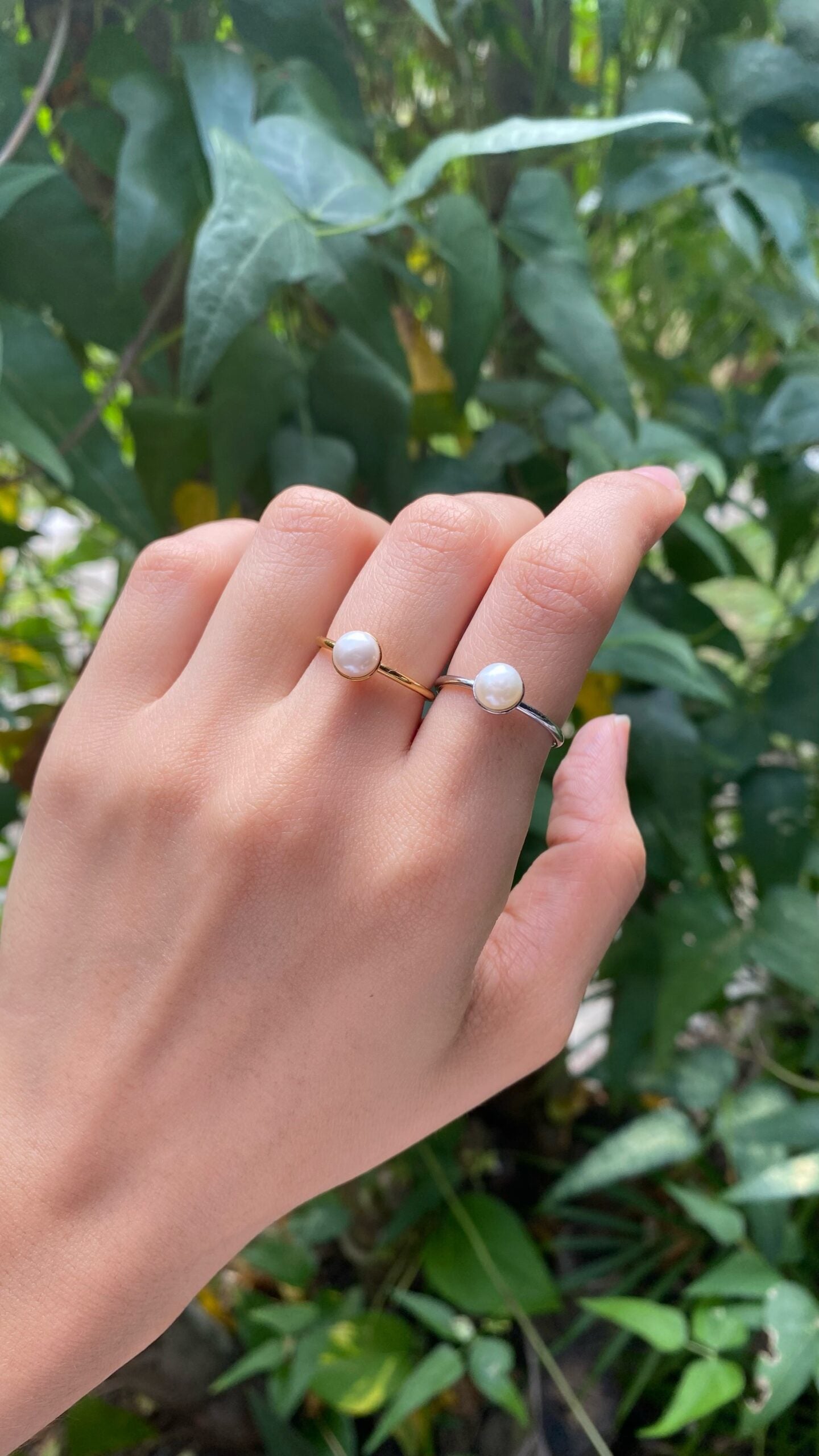 ANILLOS (392)