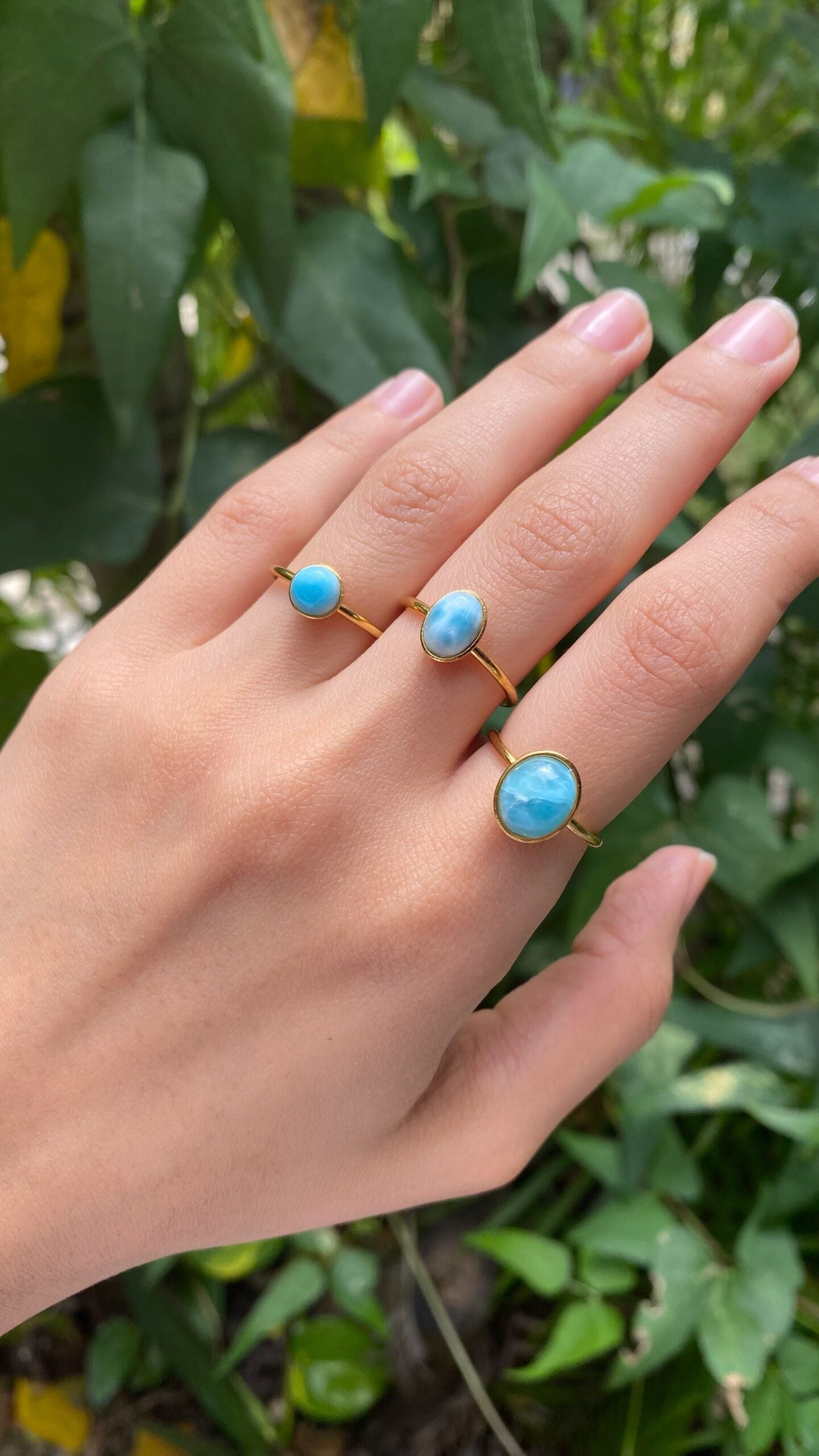 ANILLOS (399)