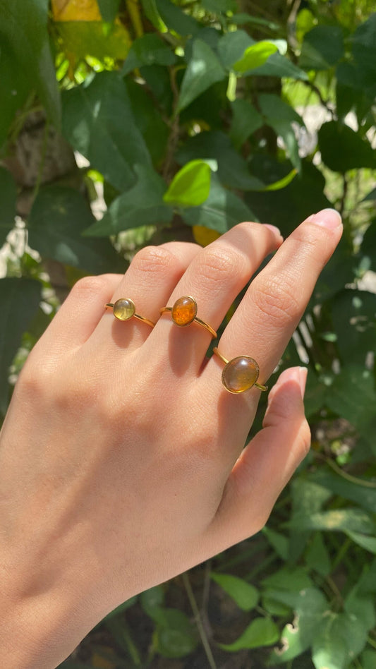 ANILLOS (402)