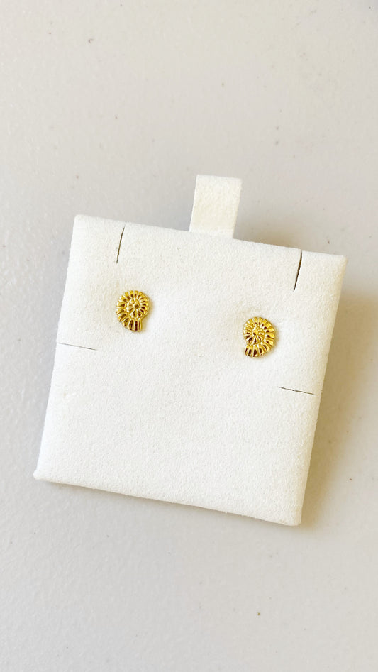 Dormilonas de caracol