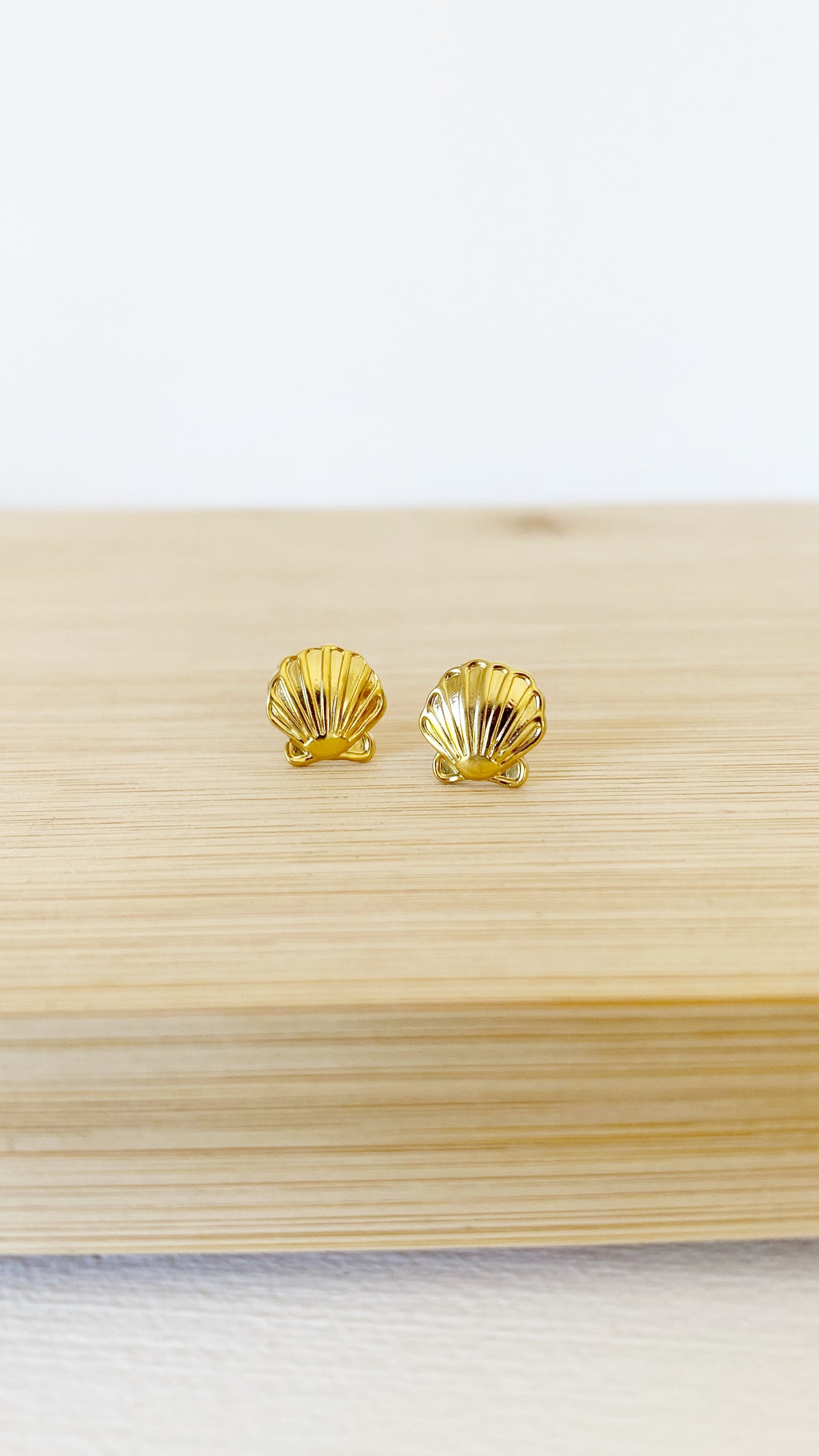 Dormilonas de conchas