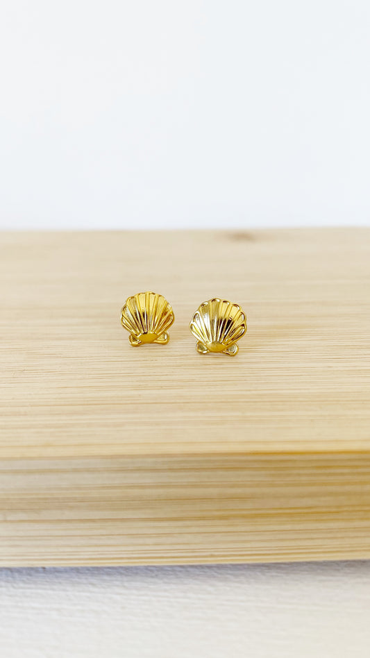 Dormilonas de conchas