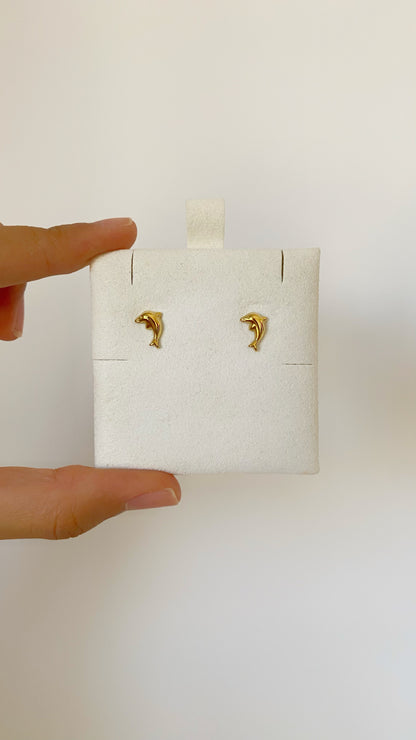 Dormilonas de delfín