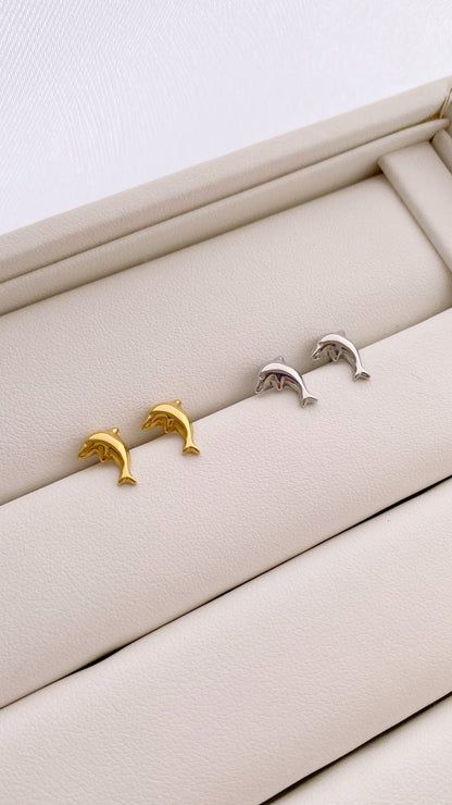 Dormilonas de delfín