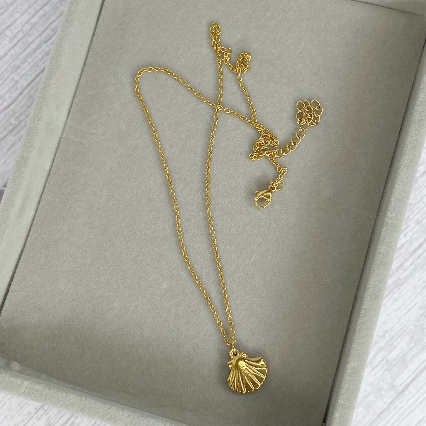 Cadena con concha