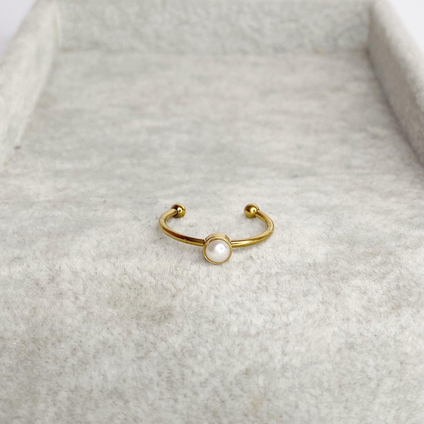 anillos (261)