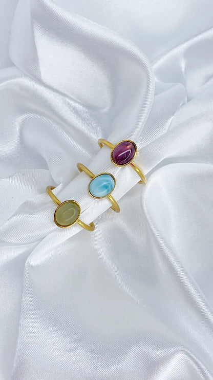 anillos (287)