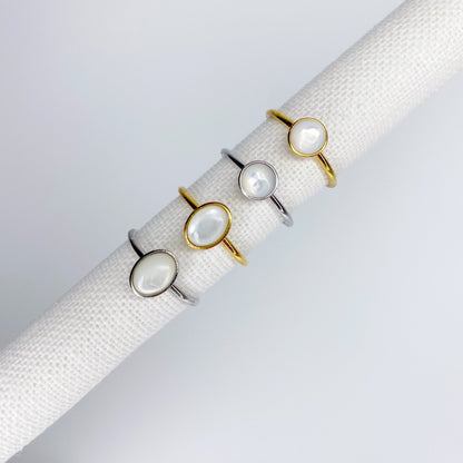 anillos (290)