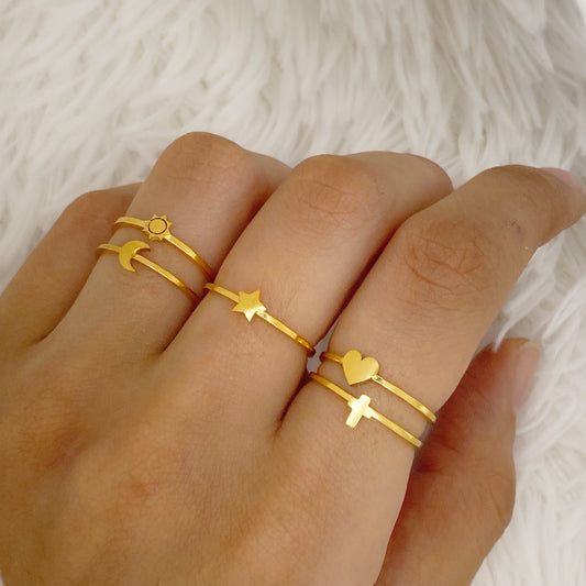 anillos (318)