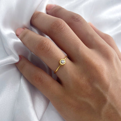 anillos (321)
