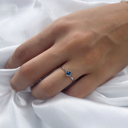 anillos (326)