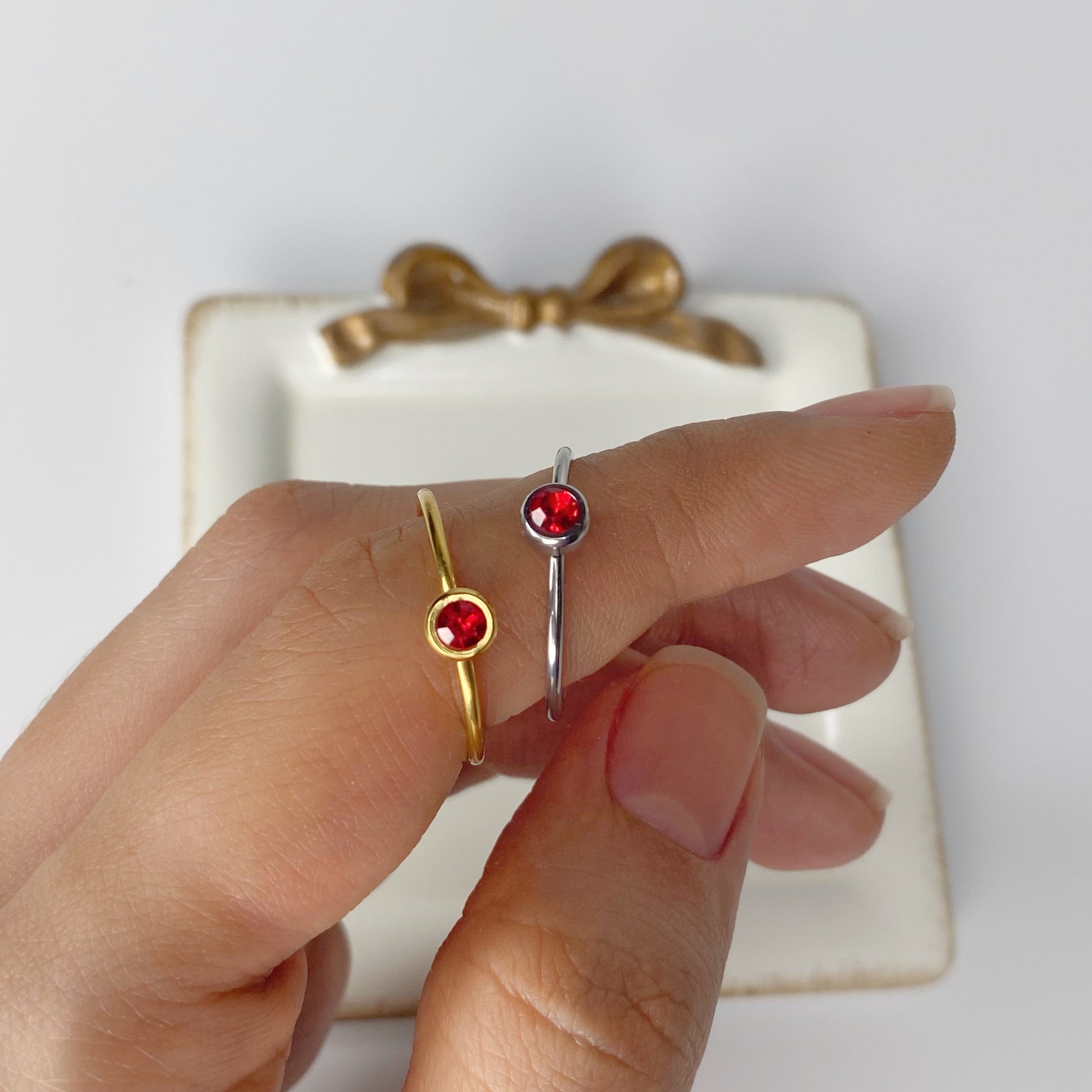 anillos (329)