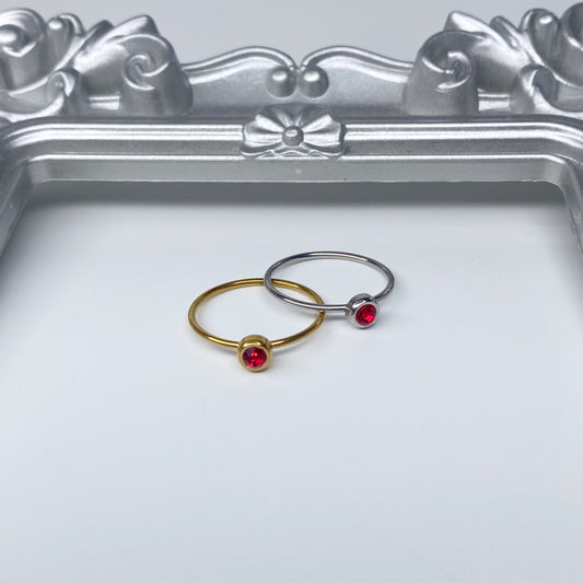 anillos (331)