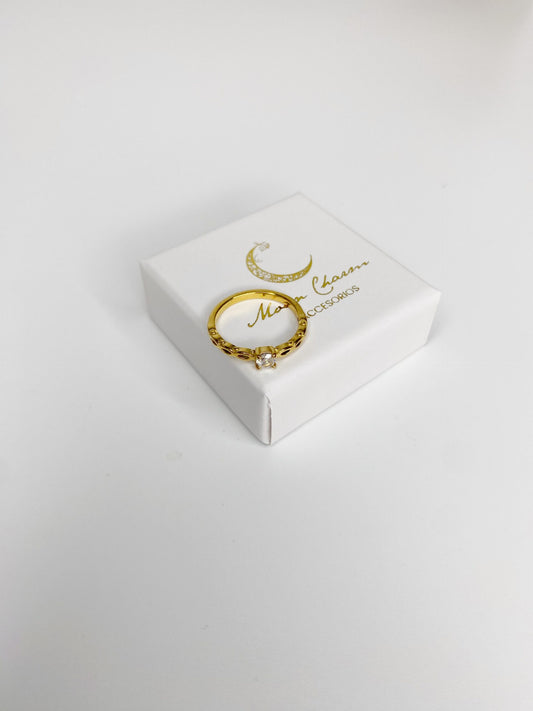 anillos (436)