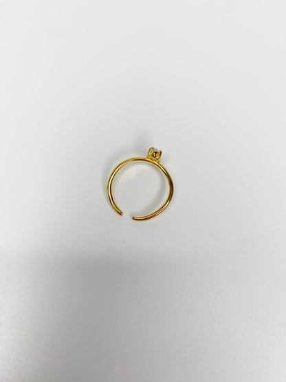 anillos (439)