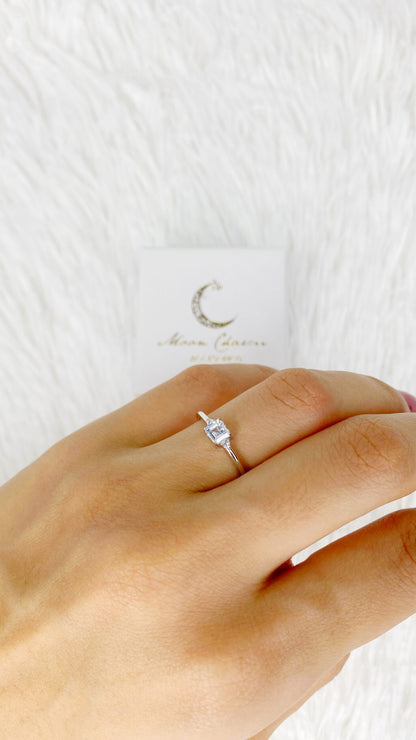 anillos (457)