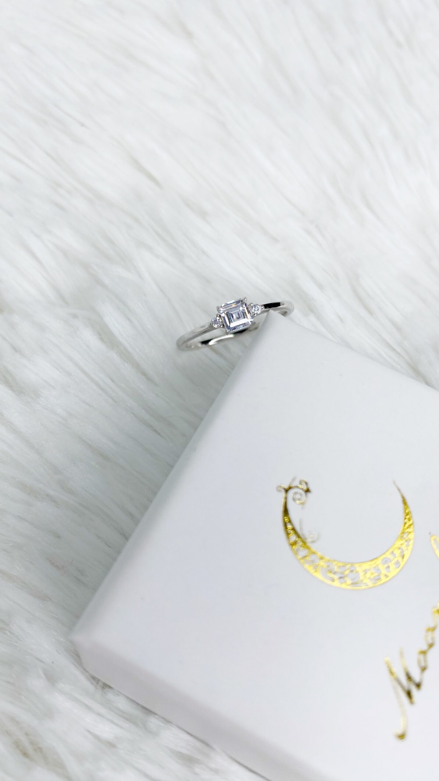 anillos (476)