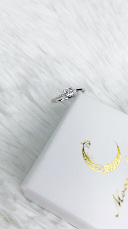 anillos (476)