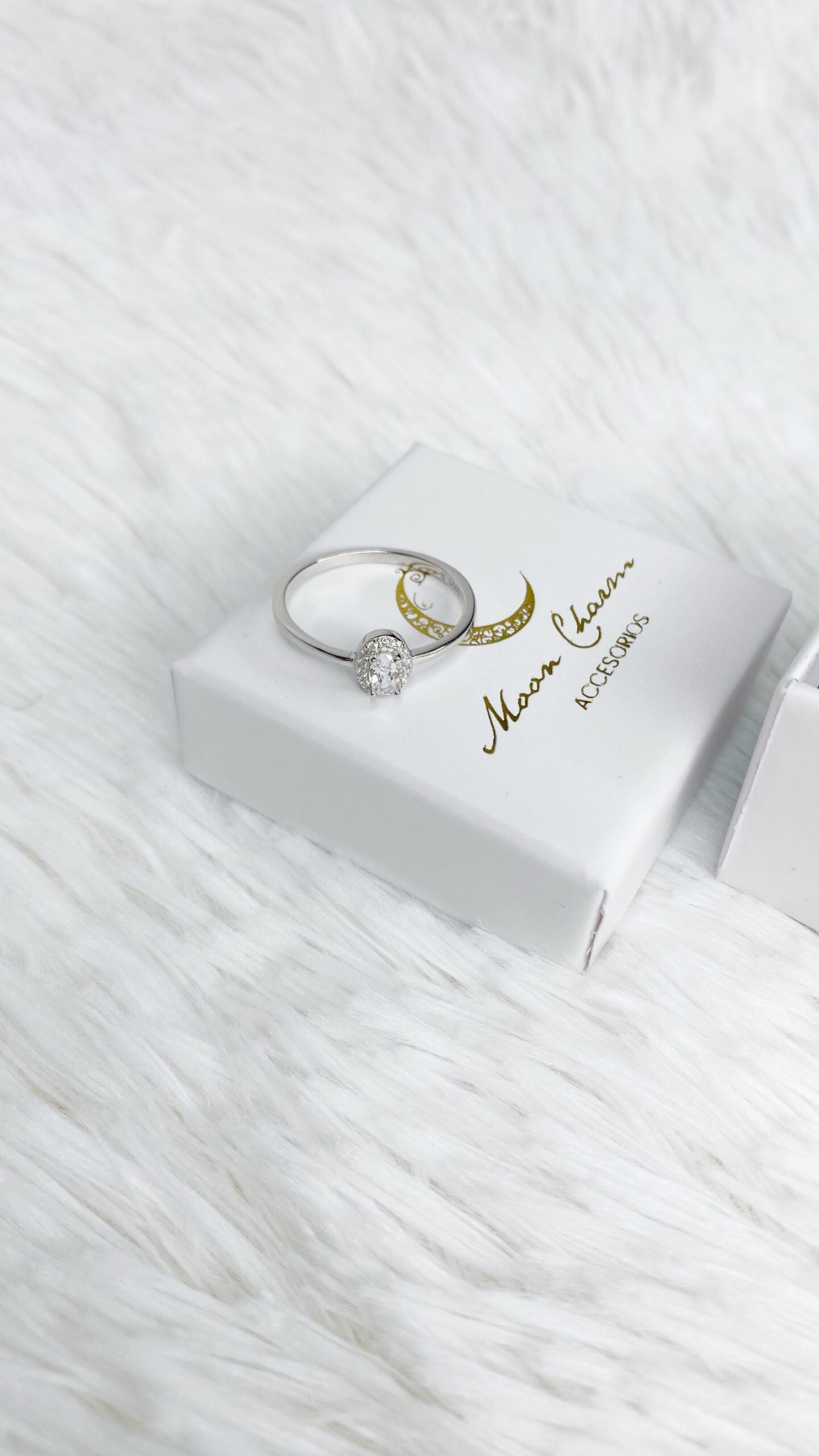 anillos (479)