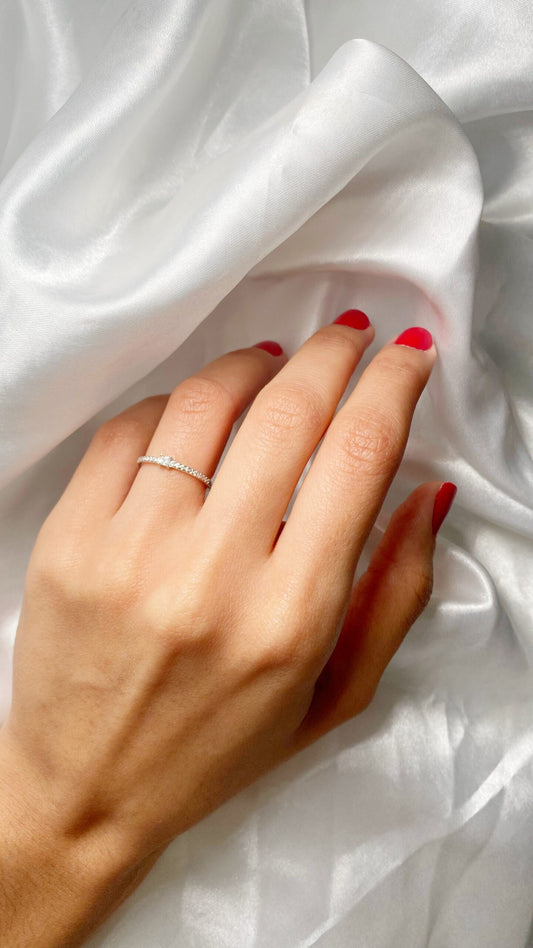 anillos (506)