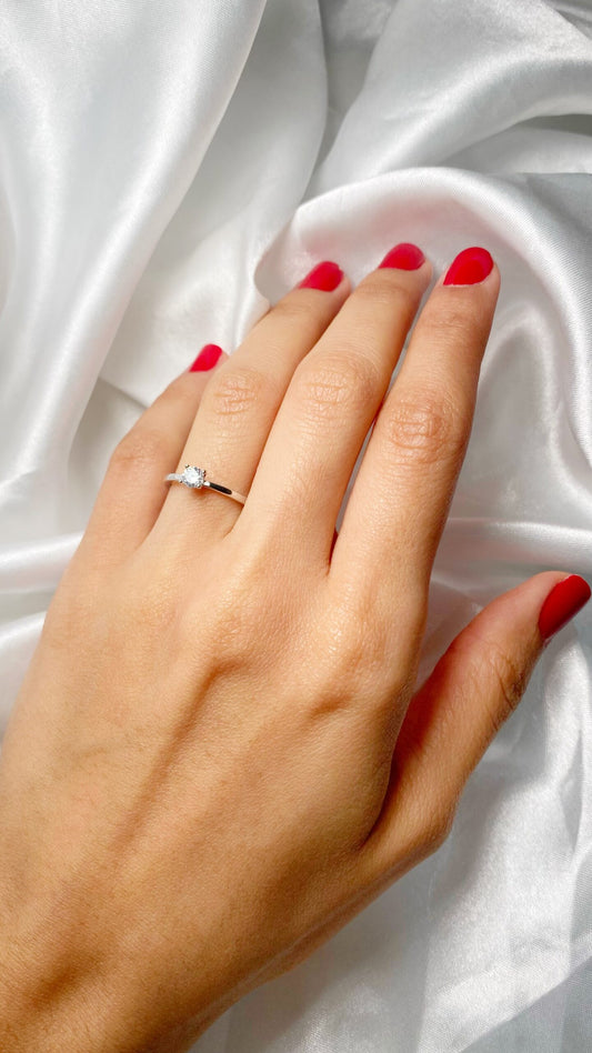 anillos (508)