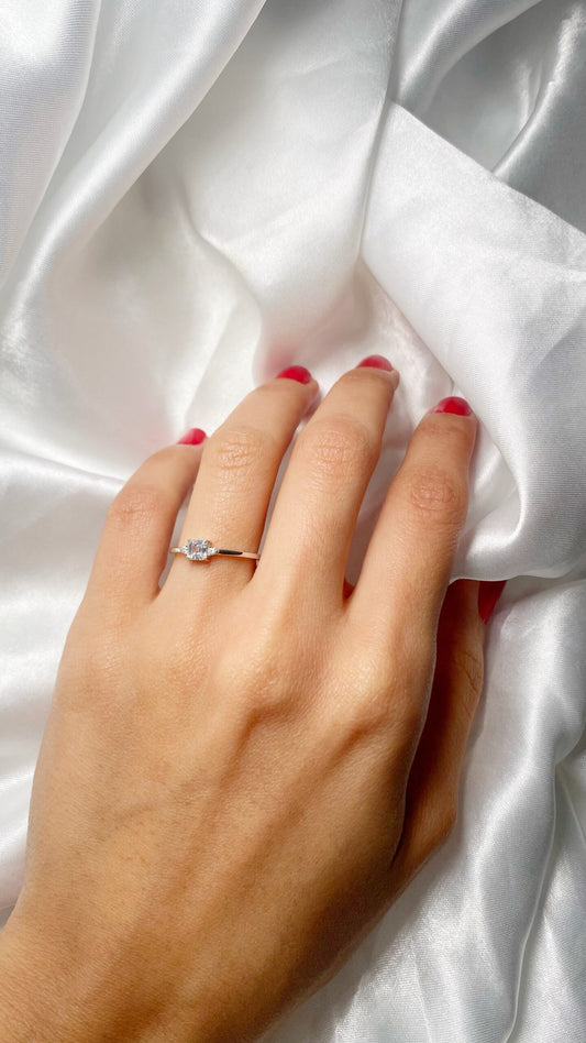 anillos (511)