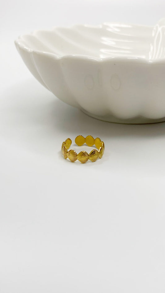 anillos (514)