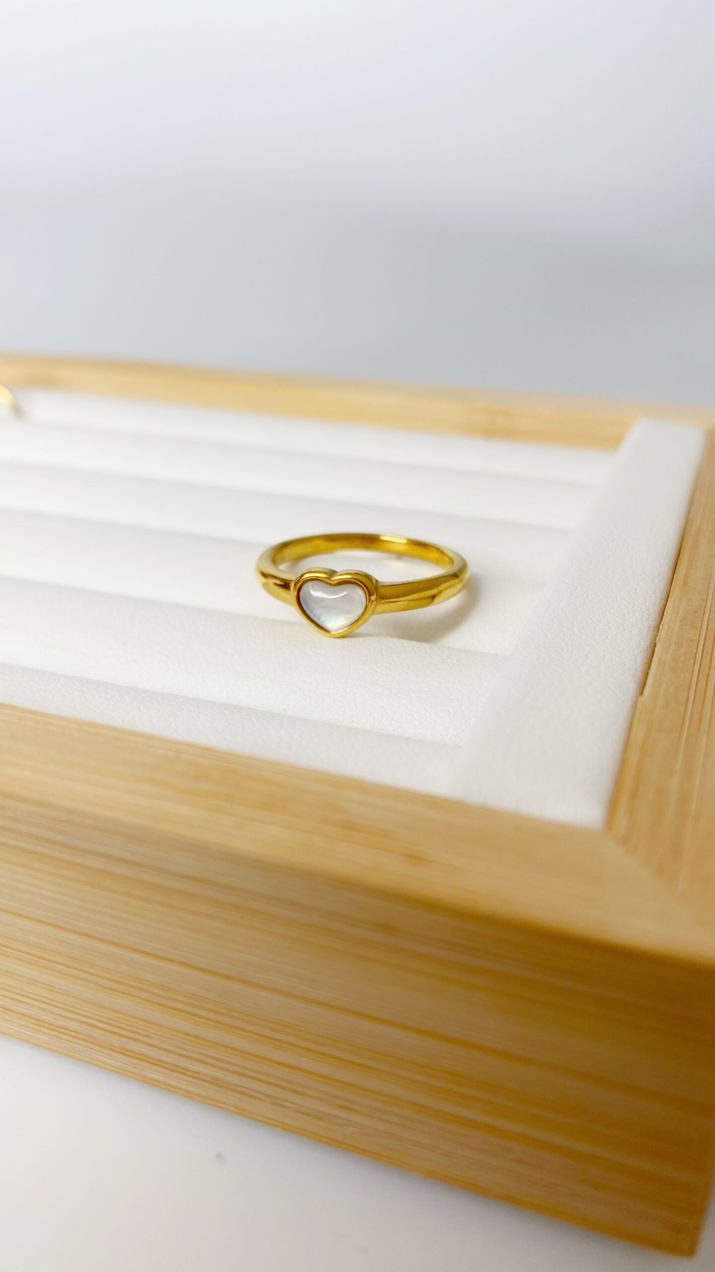 anillos (518)