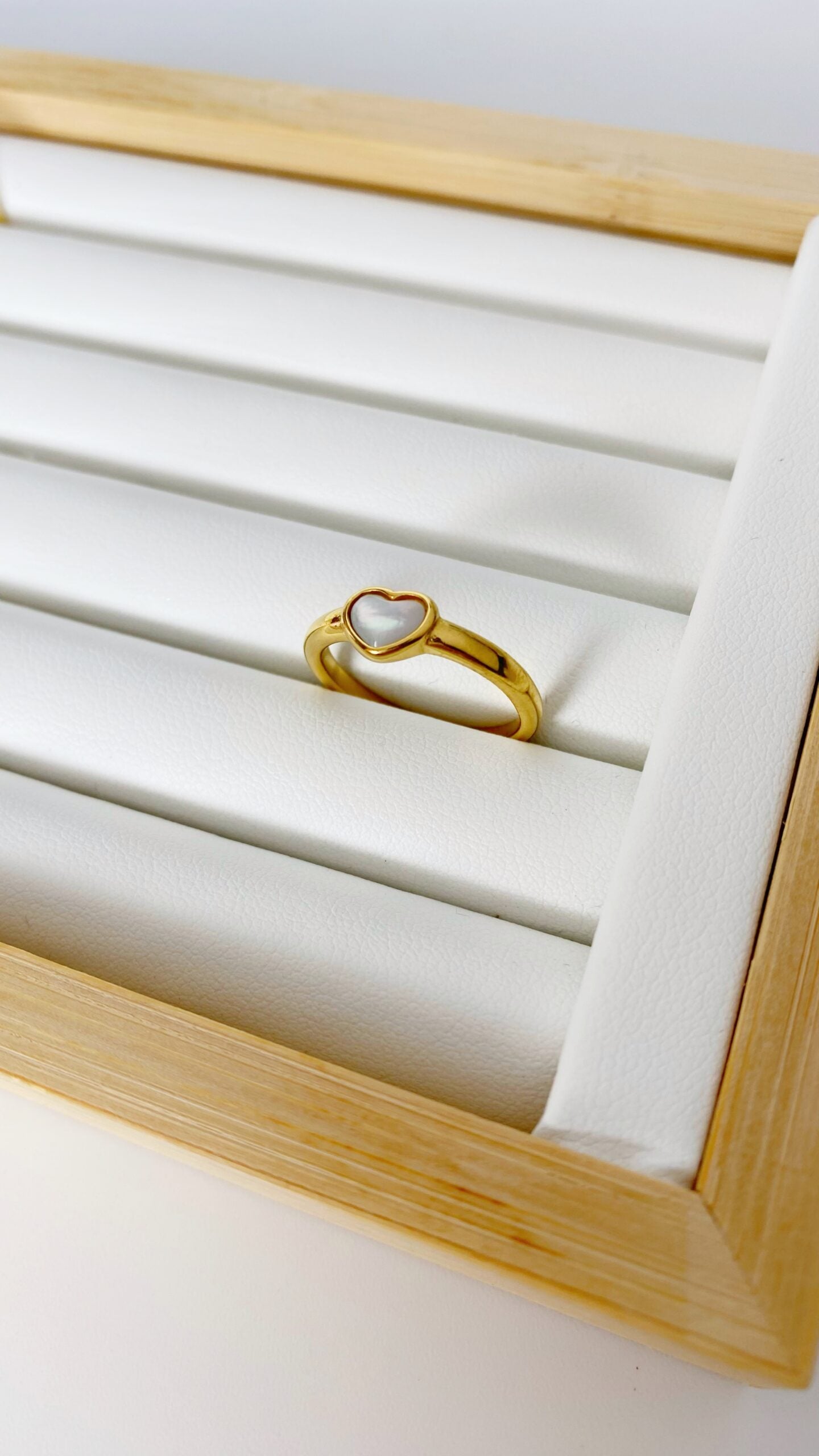 anillos (519)
