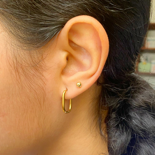 aretes (1446)