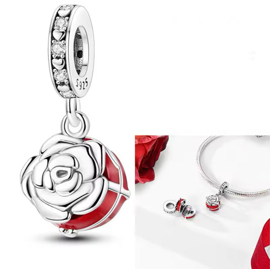 charms (363)